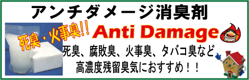 ���L���L�܃A���`�_���[�W