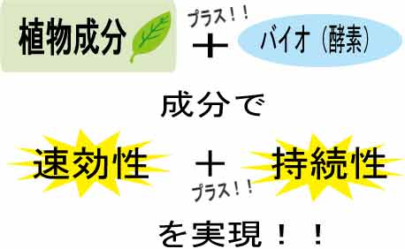 �o�C�IC���L�܌���