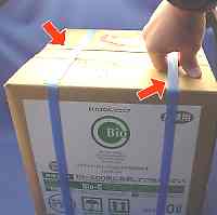 �o�C�I�b�Q�O�ڍׂP