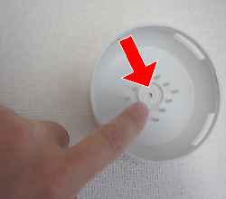 ���L�܁@�~�j�t�H�[��