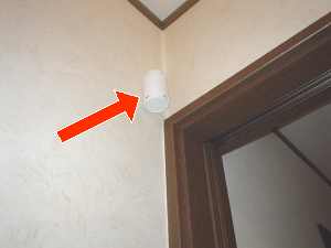 ���L�܃^�����t����