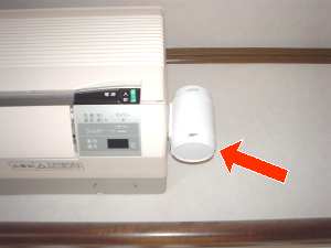 ���L�܁@�^���@���t����