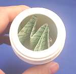 ���L�܂���ꂽ�Ƃ���