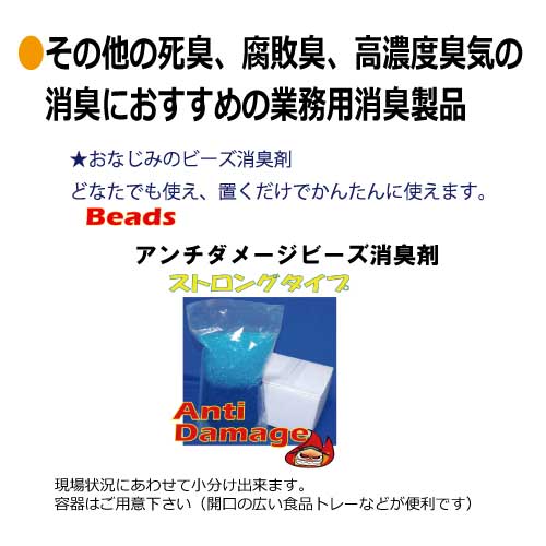 ���L���L�܃A���`�_���[�W�r�[�Y