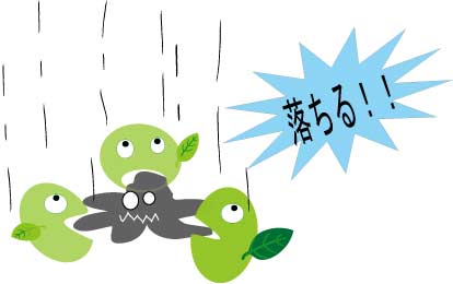 ���L�܂����L���q�ƂƂ��ɗ���