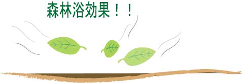 ���L����